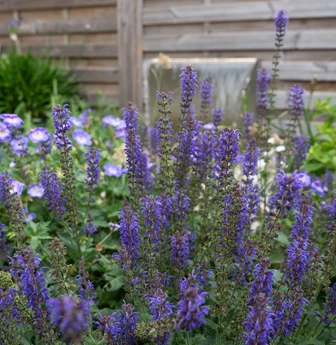 Two Outdoor Rooms — image 3