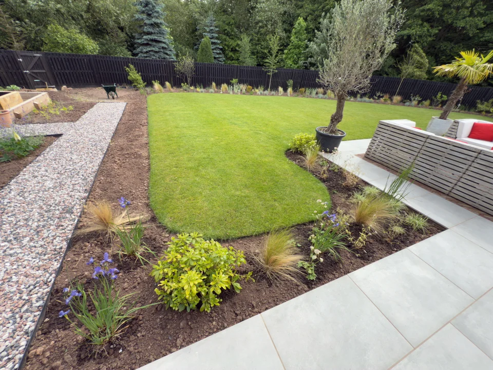 New Build Waterlogged Garden