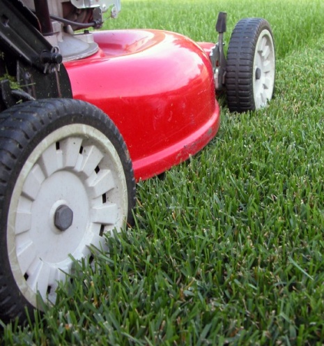 Lawn Mowing Block