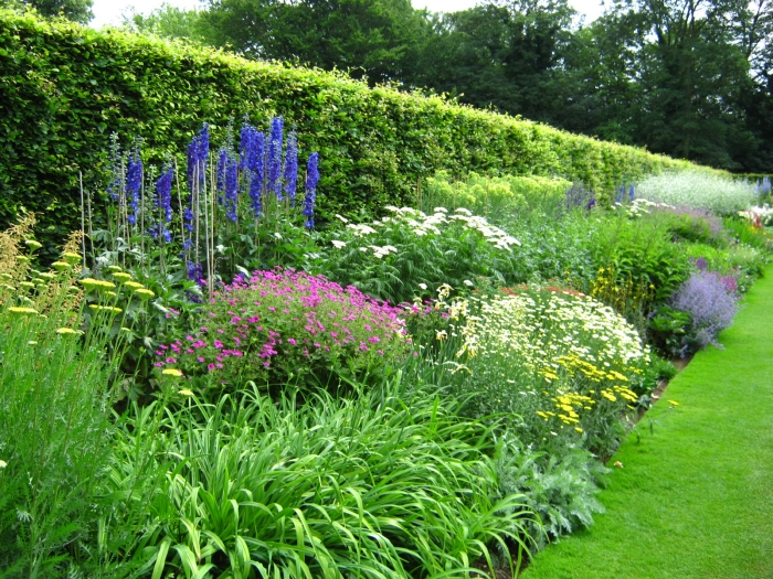 Anglesey Abbey herbaceous border3 L