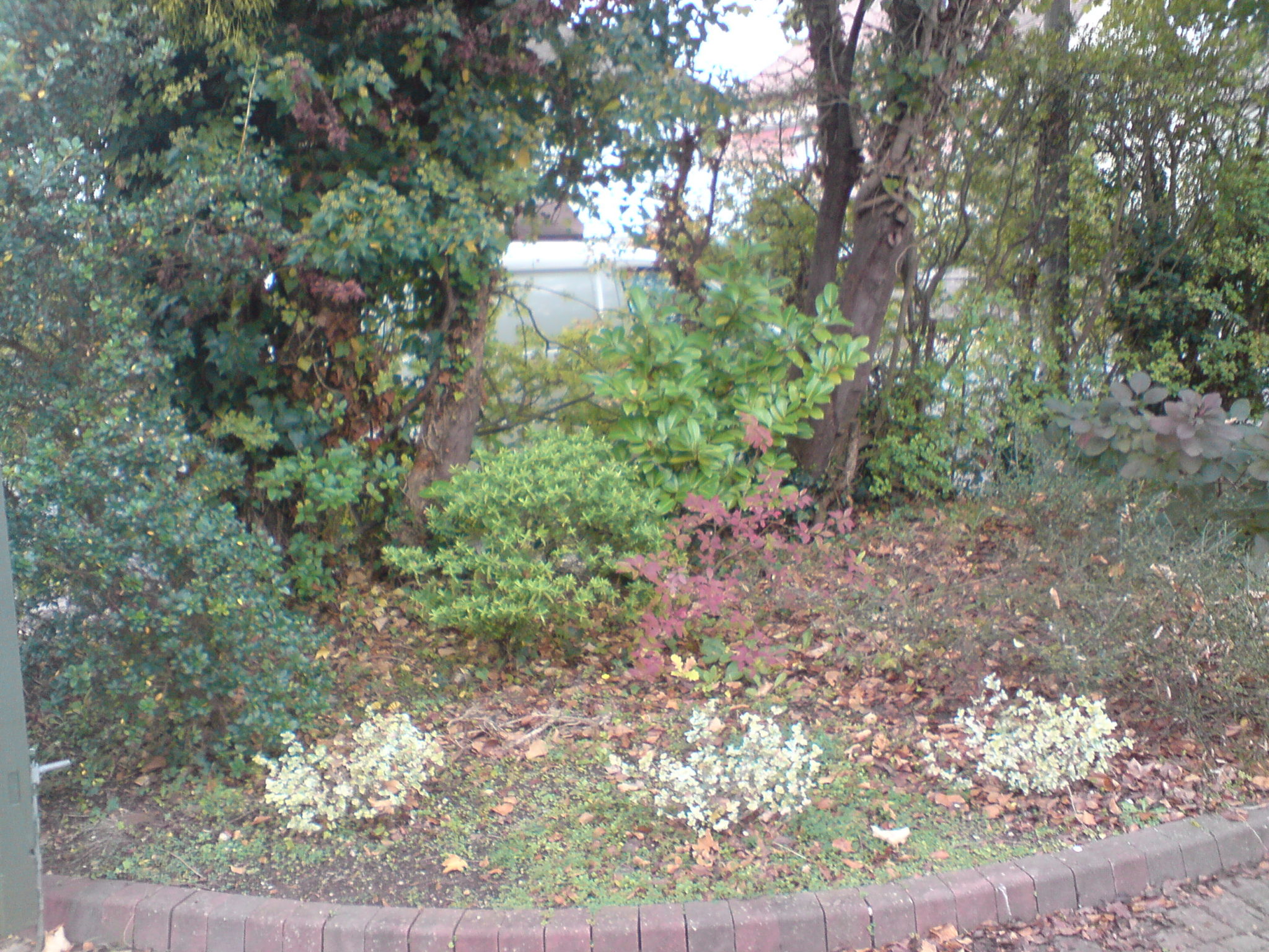 DSC00728