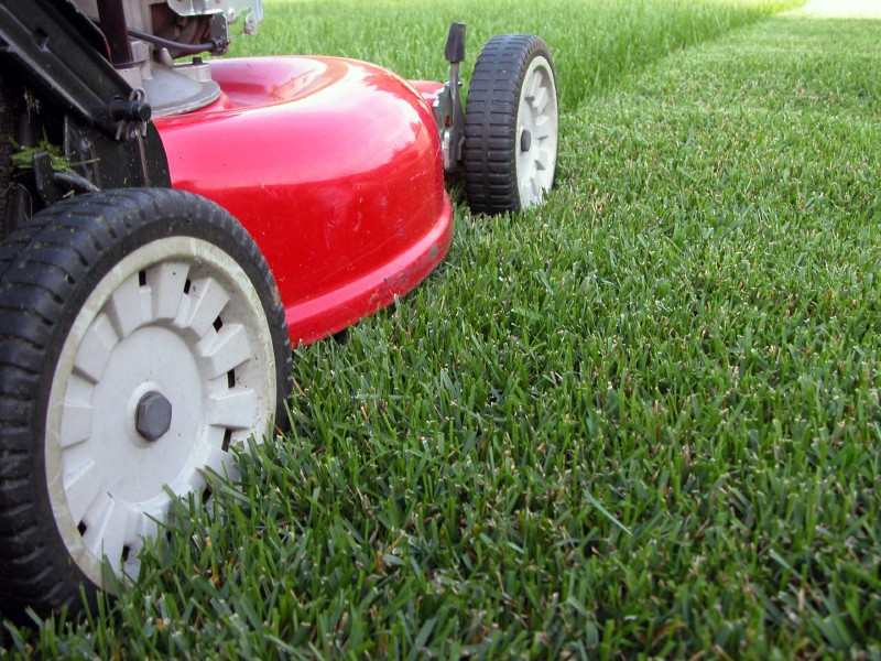Mowergrass