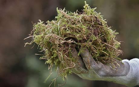 moss 1530051c