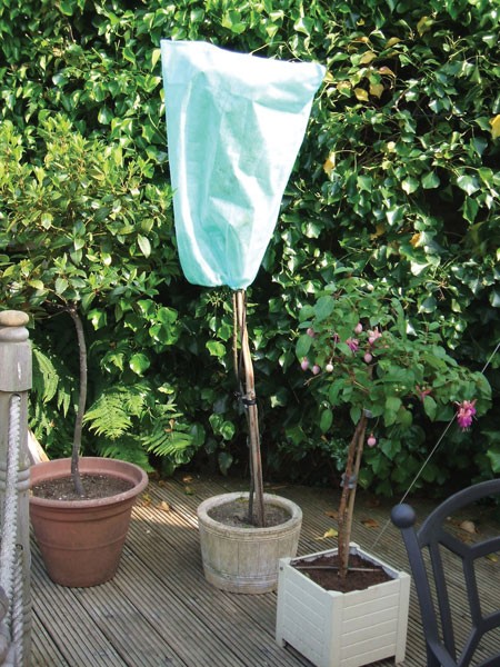 plant fleece