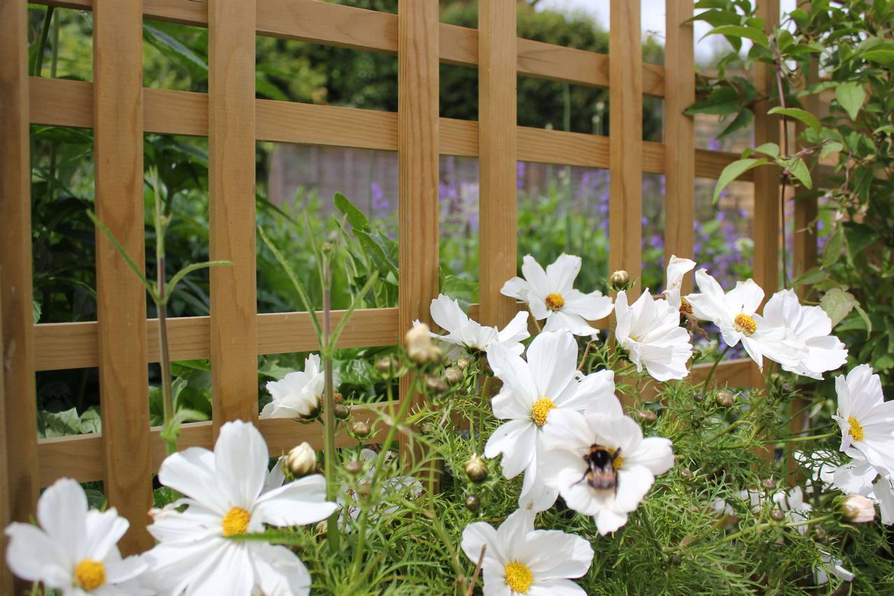 trellisTartan 3 trellisTartan 3