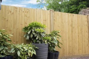 Timber fencing installation