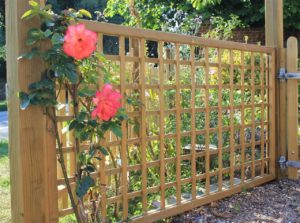 Trellis installation and garden screening