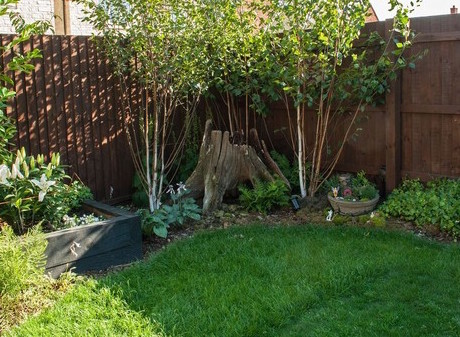 small garden with dark fence small garden with dark fence