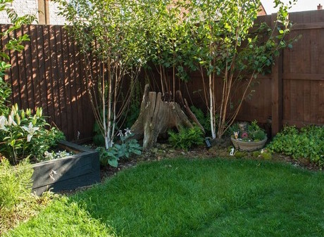 small garden with dark fence