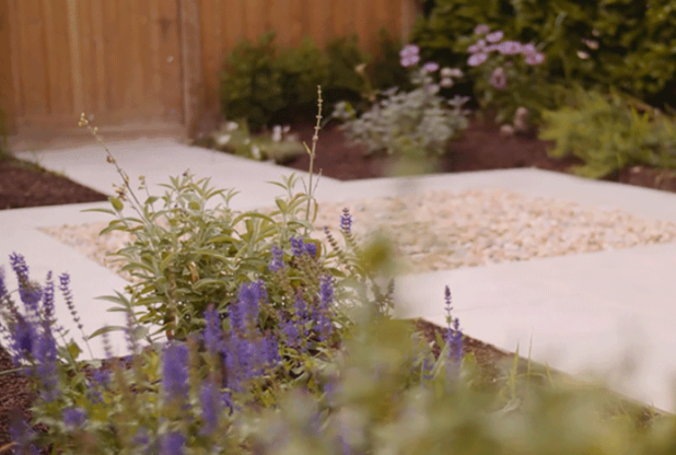 close up of plants in landscaped garden