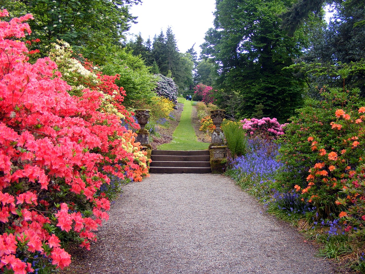 landscape design cottage garden diverse colour