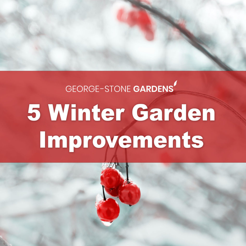 winter garden improvements