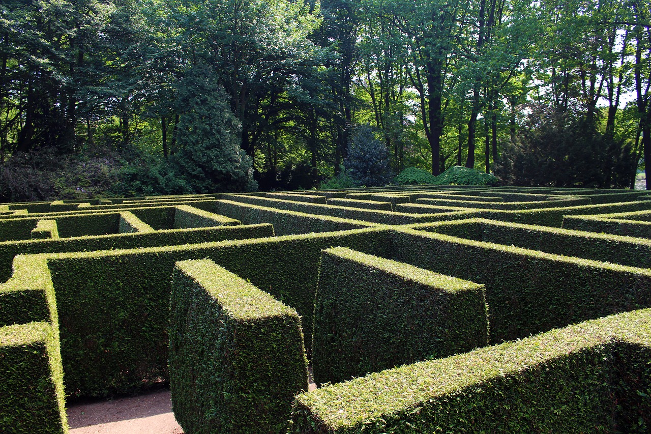 Image Alt hedge maze