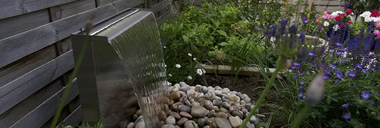 genuinely local established